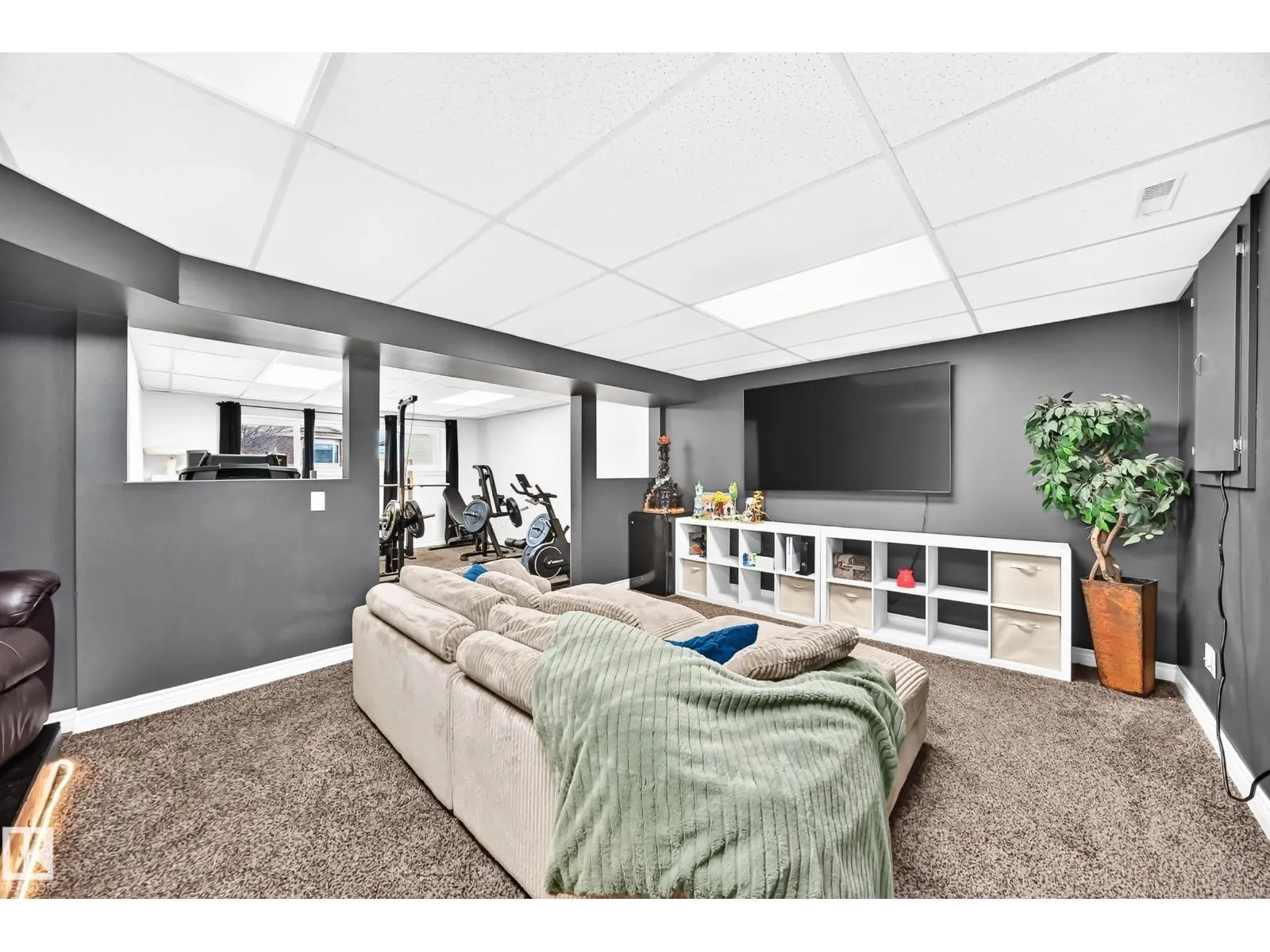 87 WAVERLEY CR