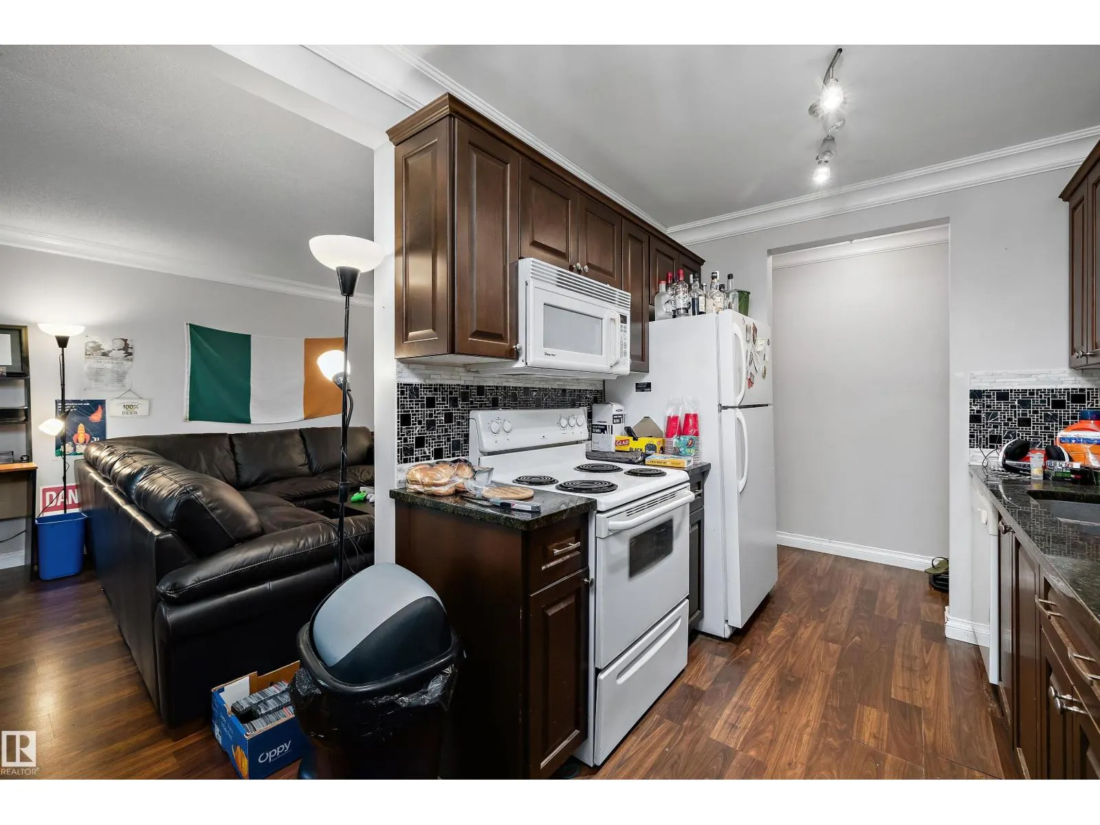 #303 10735 81 AV NW