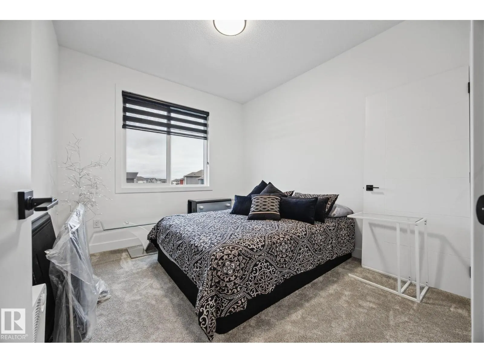 58 Hummingbird CR