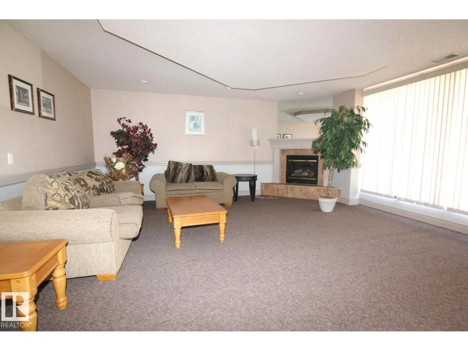 #207 9919 105 ST NW