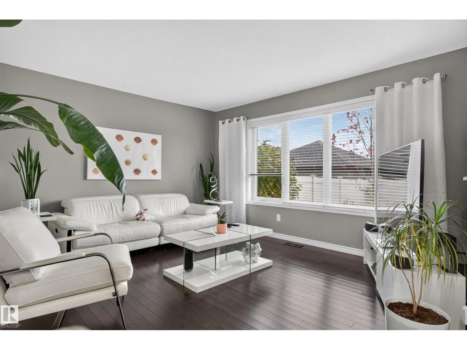 131 CY BECKER BV NW