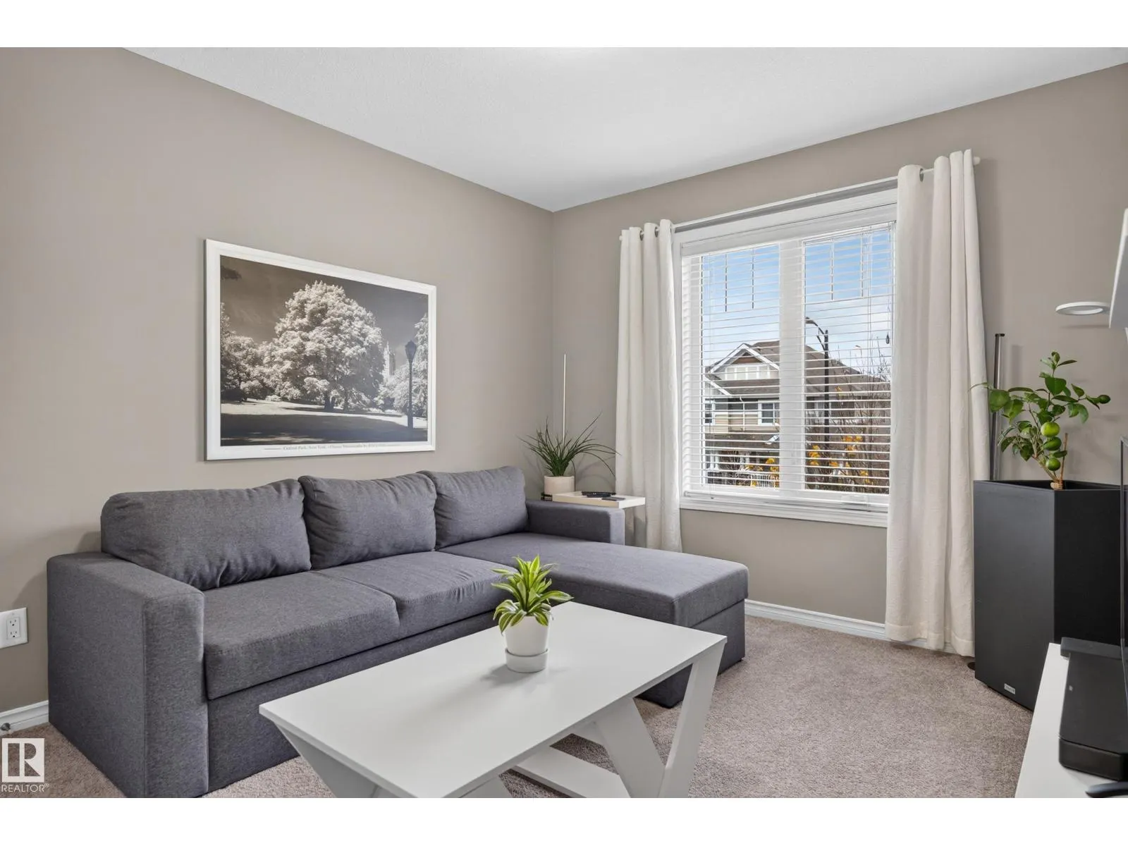 131 CY BECKER BV NW