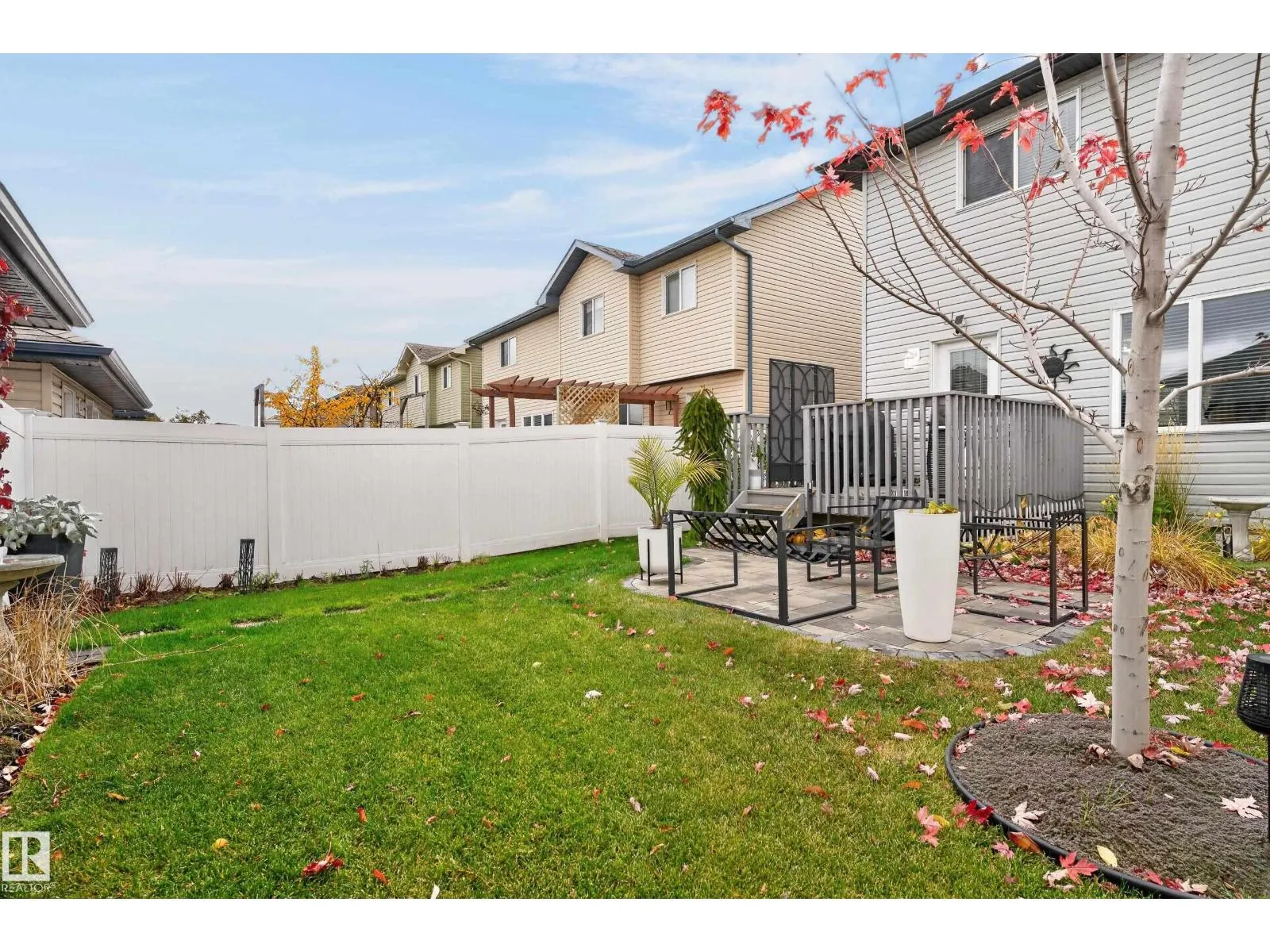 131 CY BECKER BV NW