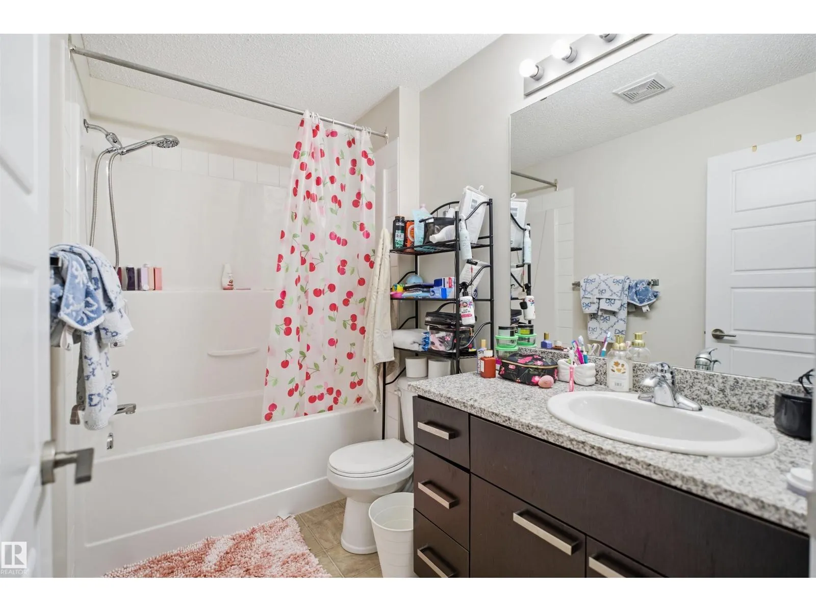 #312 14808 125 ST NW