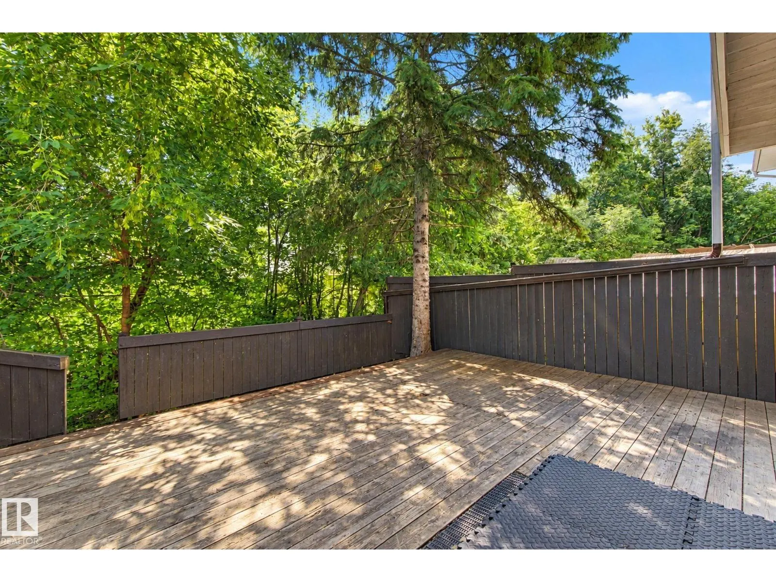 304 SPRUCE GL