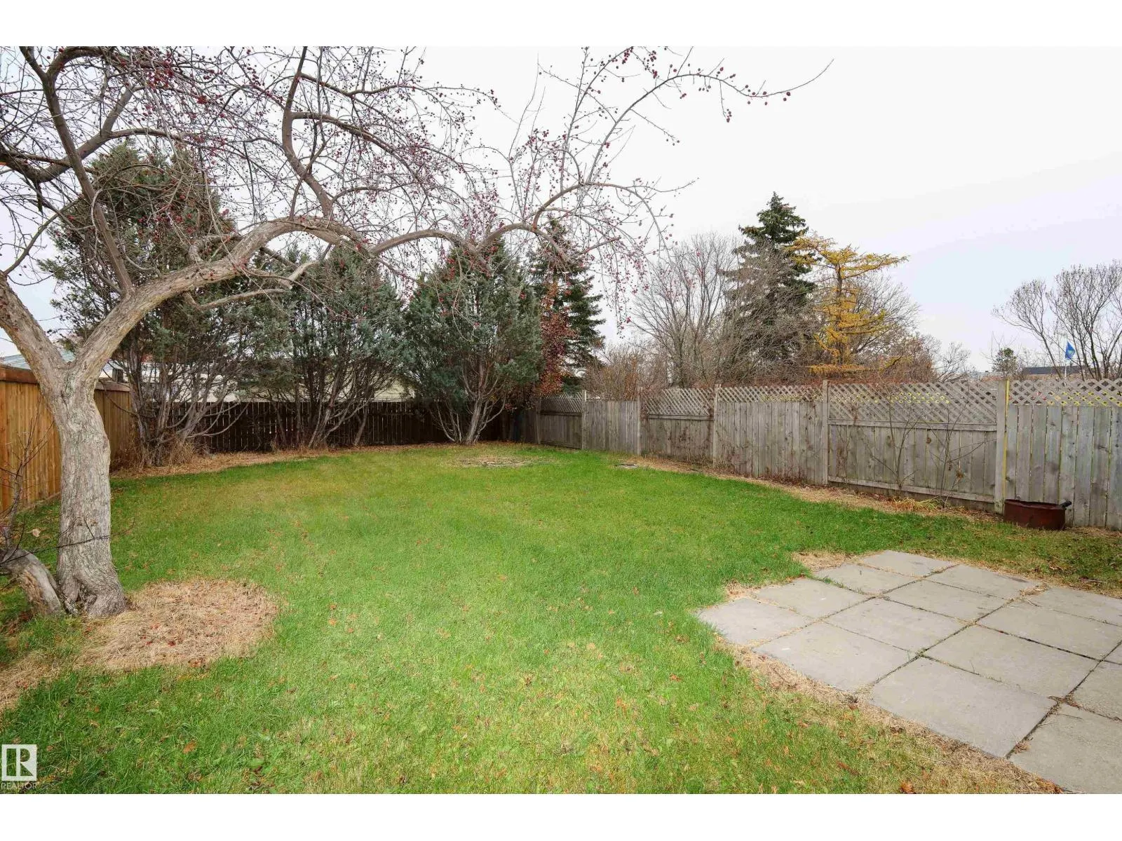 709 GRANDIN DR