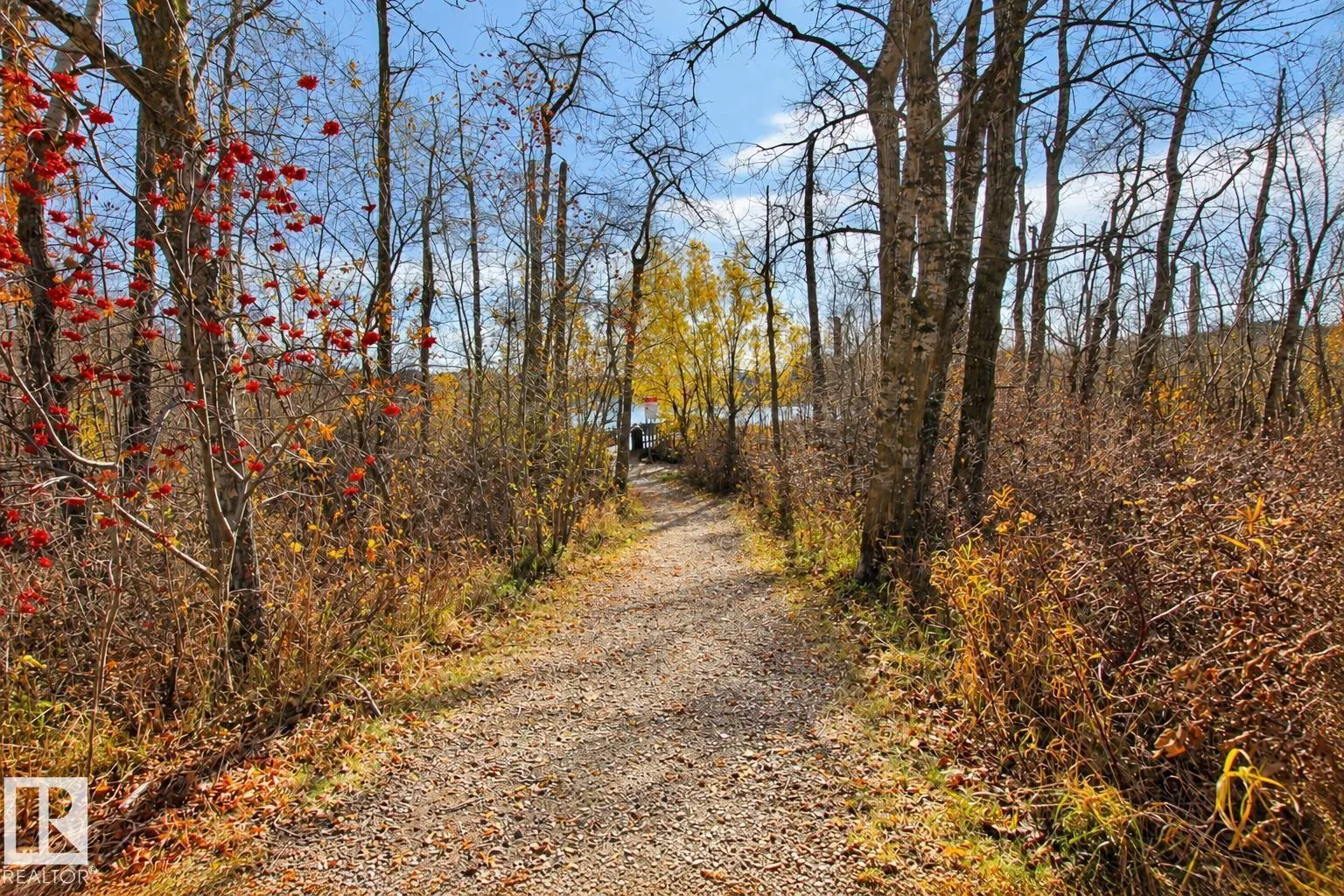 259 HAWKVIEW CO