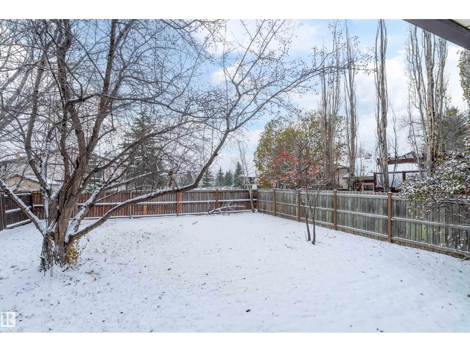 11125 19 AV NW