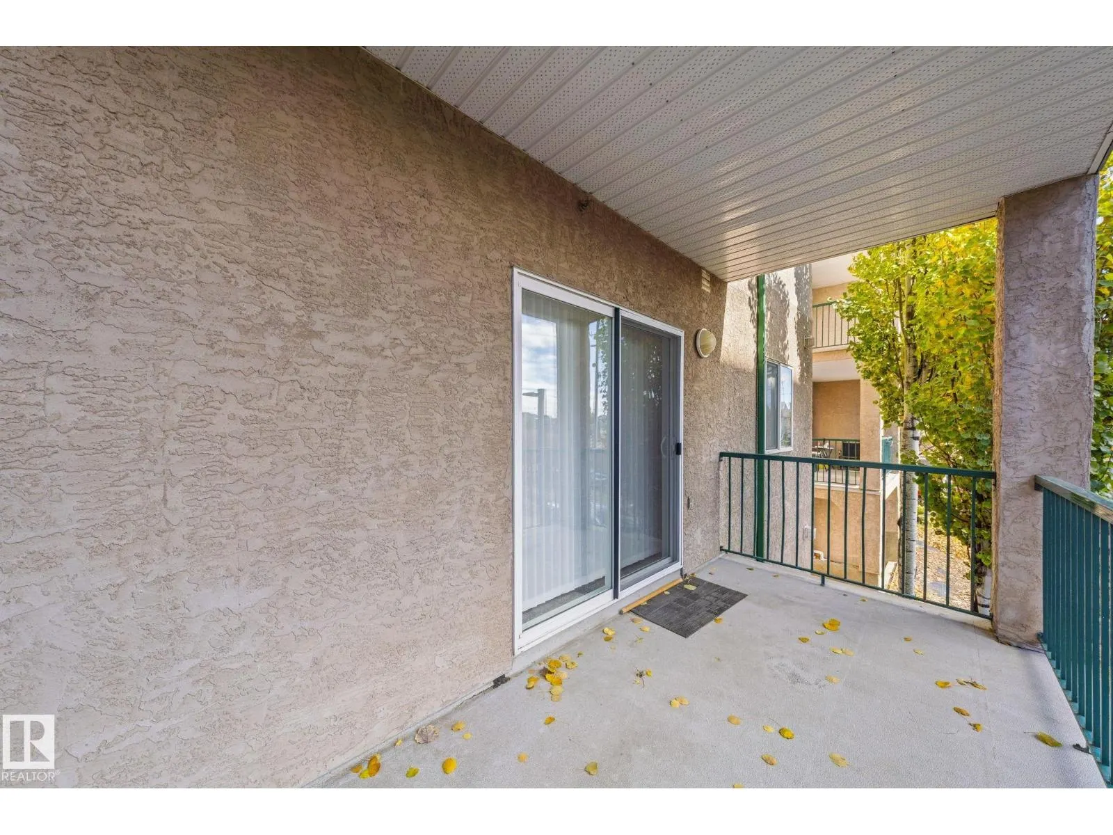 #211 11325 83 ST NW