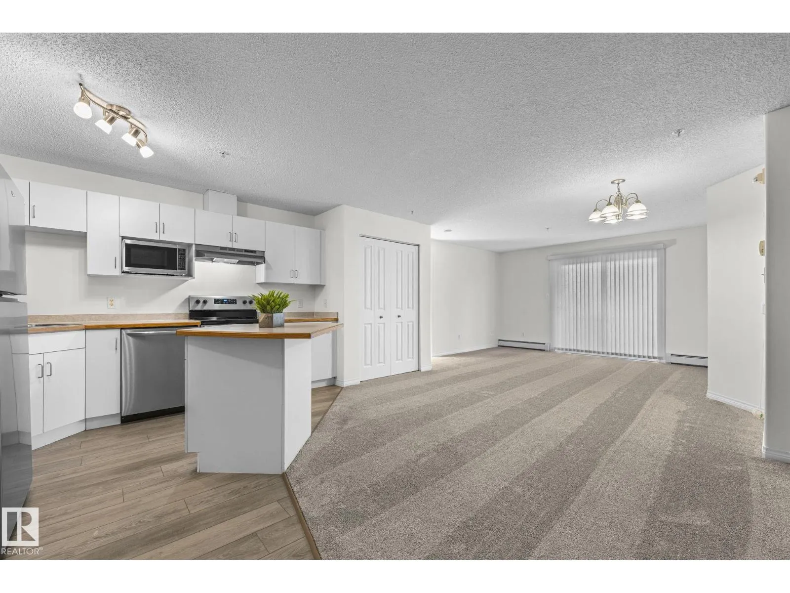 #211 11325 83 ST NW