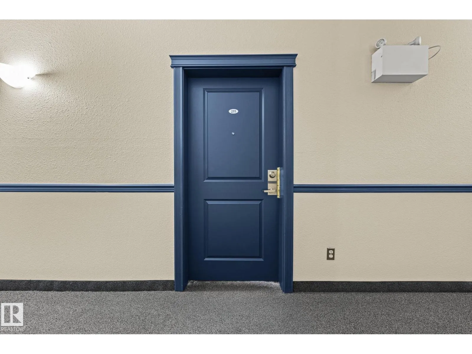 #211 11325 83 ST NW