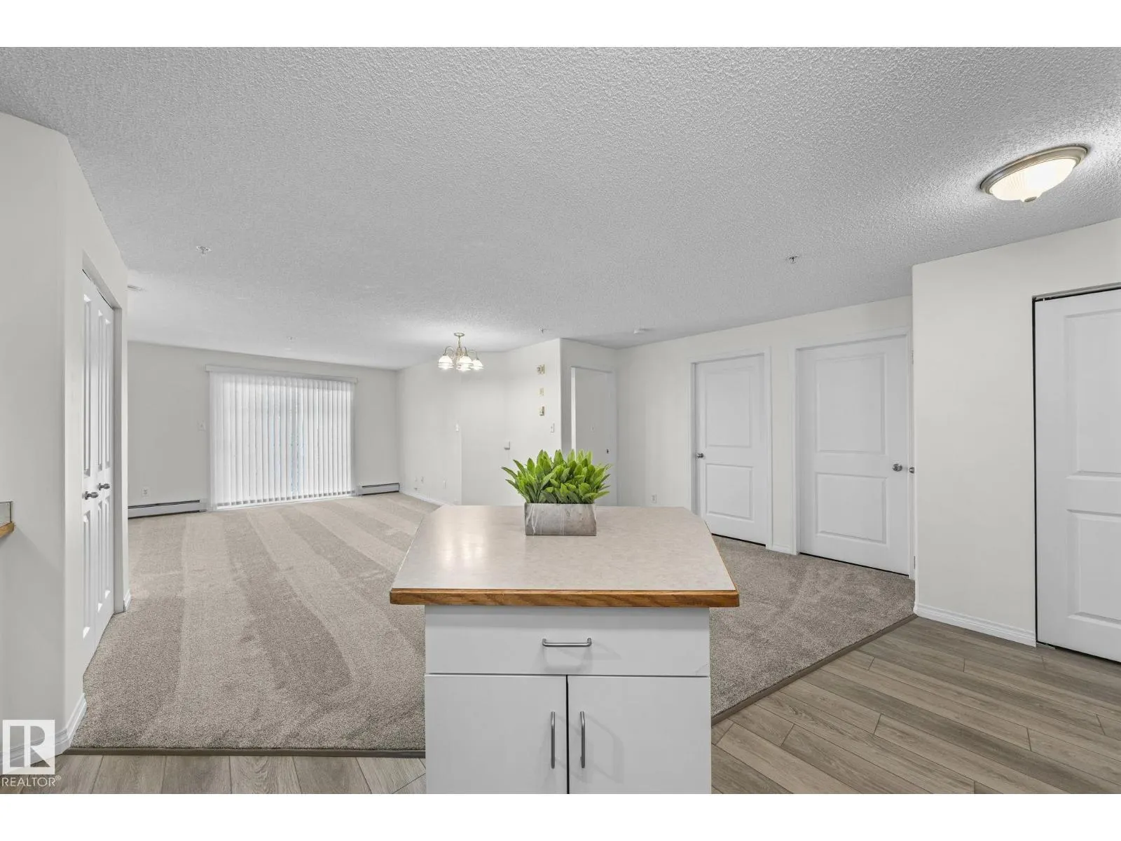 #211 11325 83 ST NW