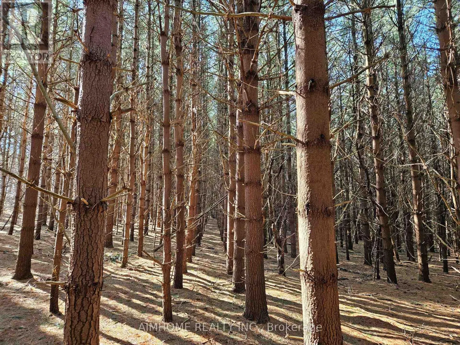 10400 AND 10800 6TH CONCESSION