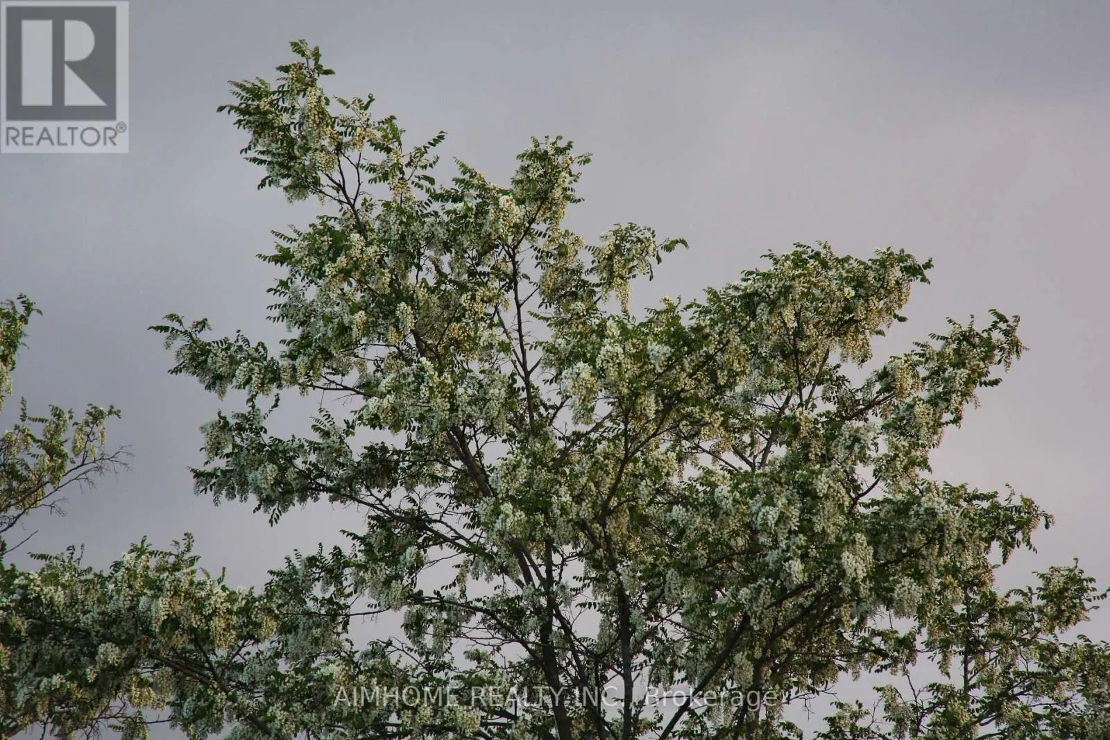 10400 AND 10800 6TH CONCESSION