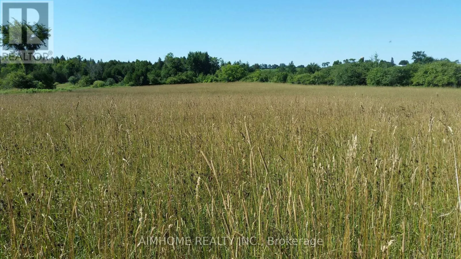 10400 AND 10800 6TH CONCESSION