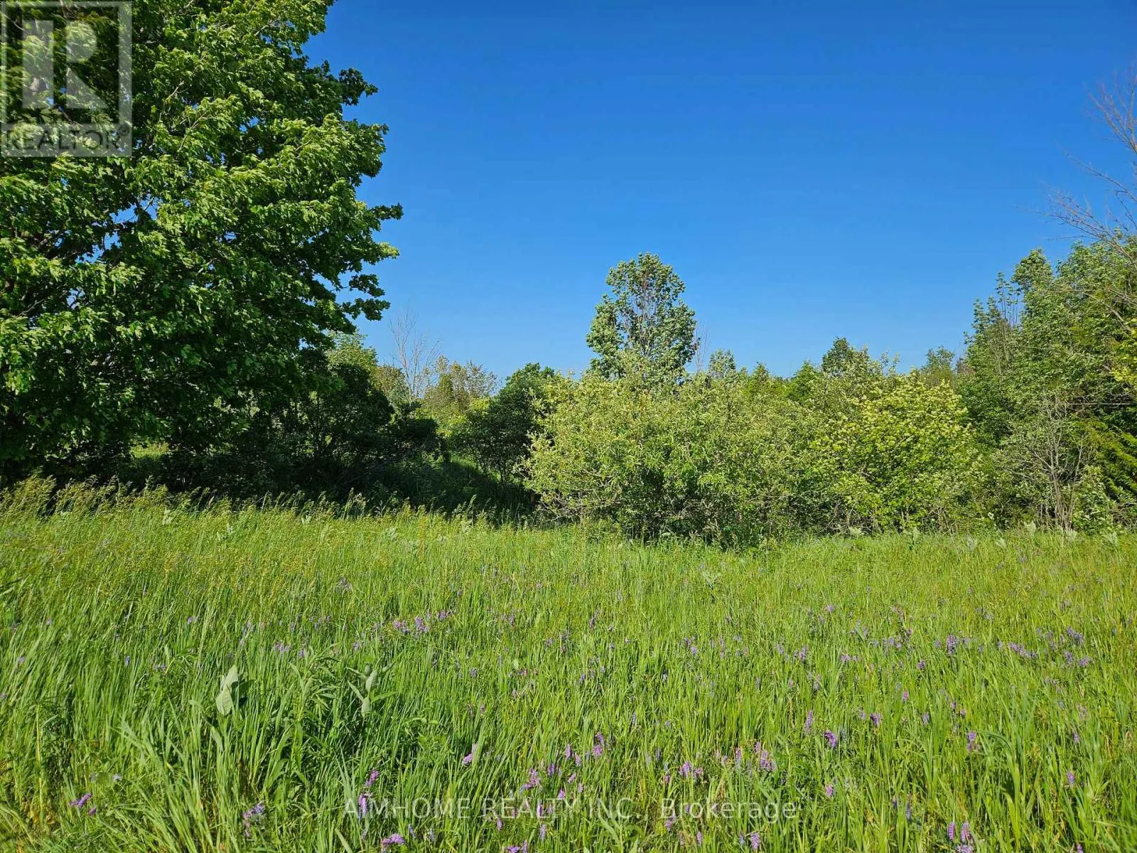 10400 AND 10800 6TH CONCESSION