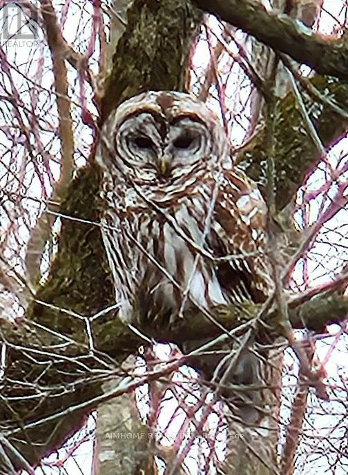 10400 AND 10800 6TH CONCESSION