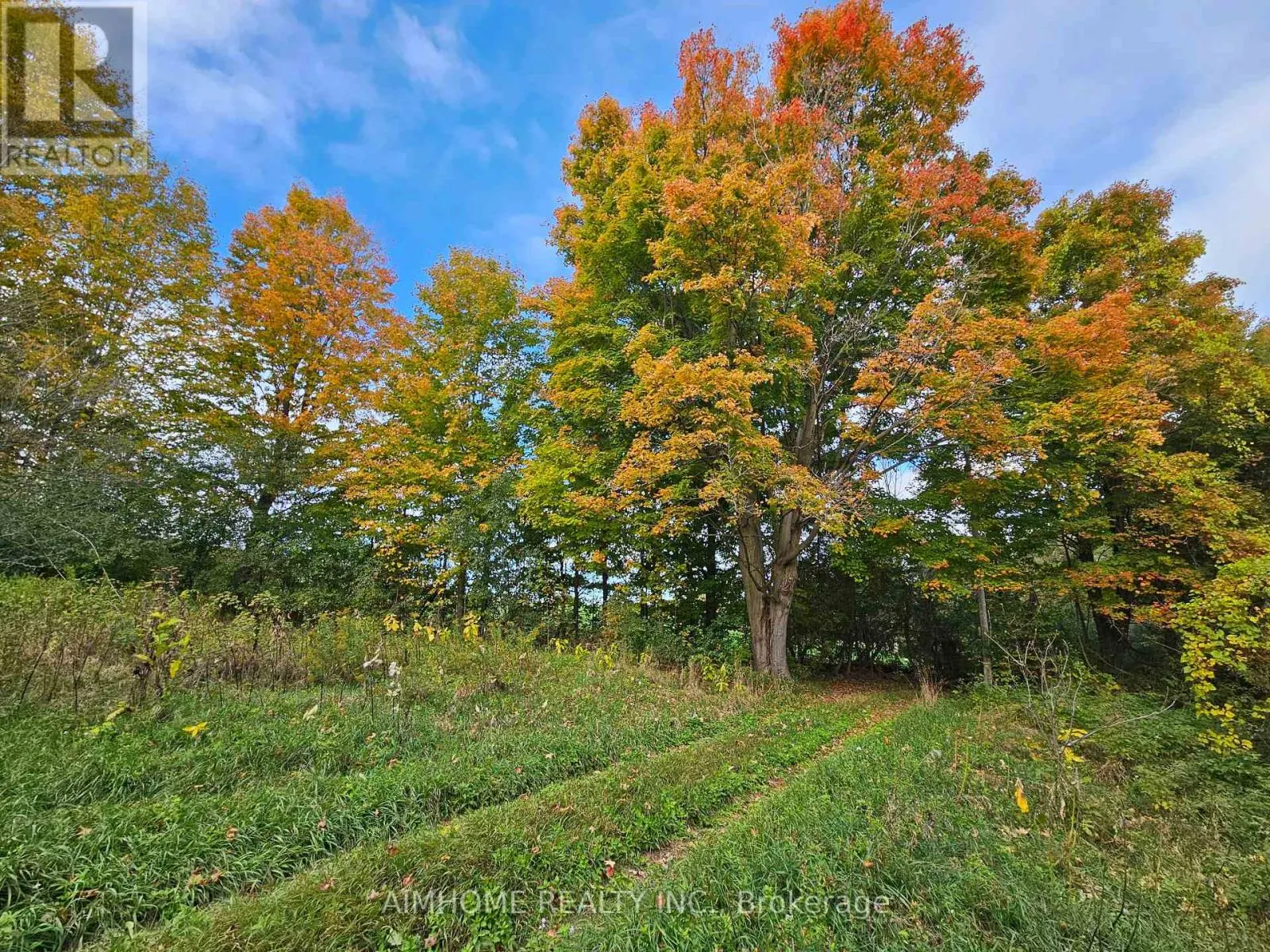 10400 AND 10800 6TH CONCESSION