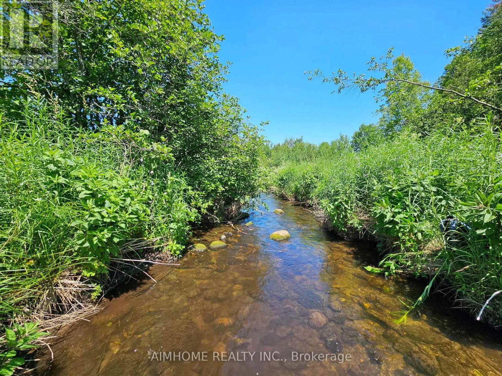 10400 AND 10800 6TH CONCESSION