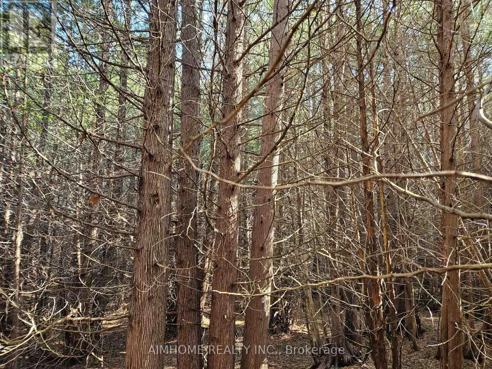 10400 AND 10800 6TH CONCESSION