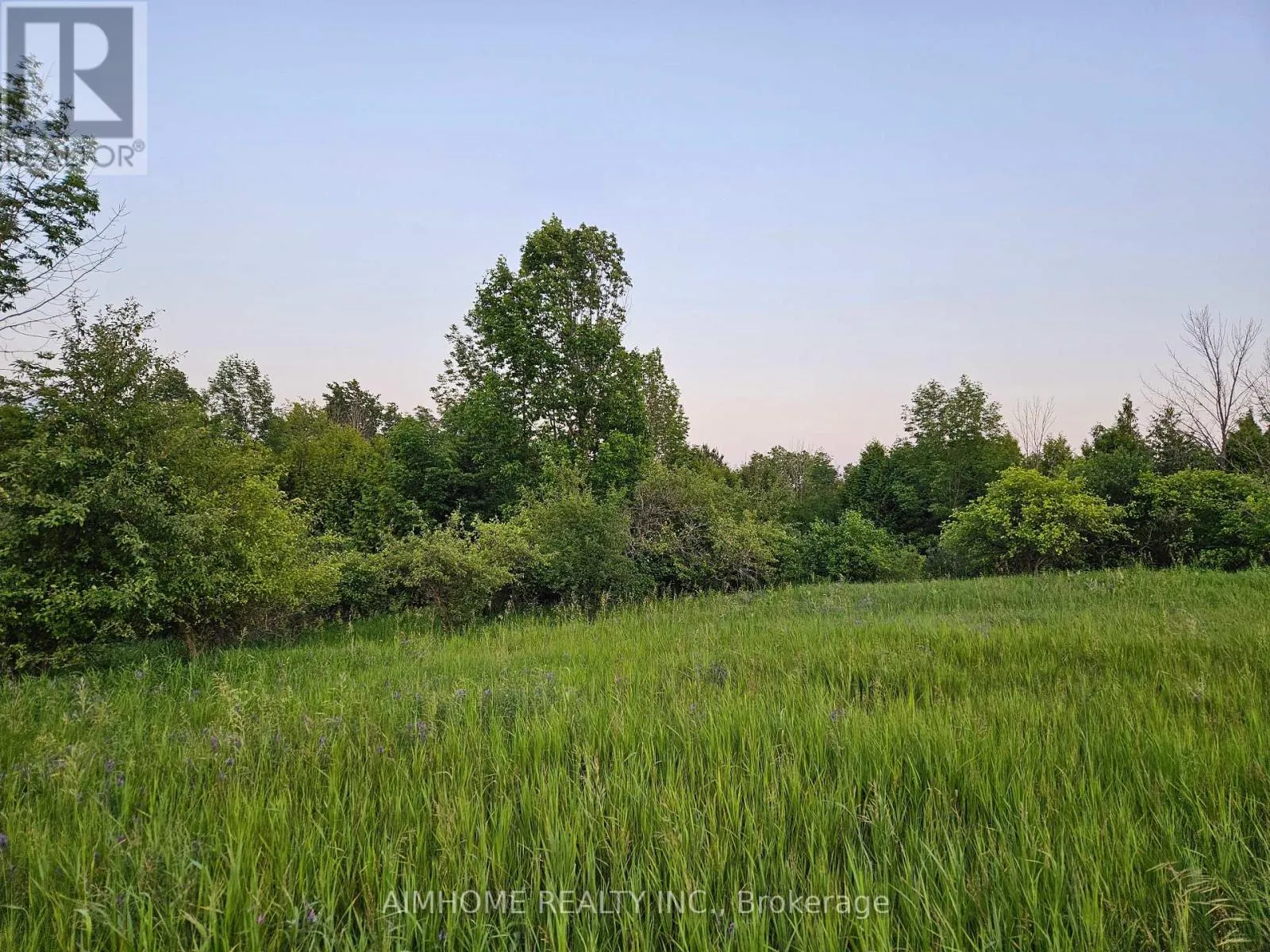 10400 AND 10800 6TH CONCESSION