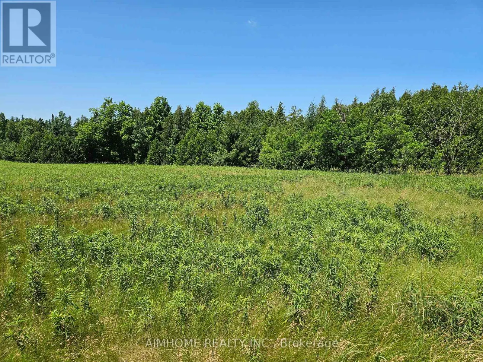 10400 AND 10800 6TH CONCESSION