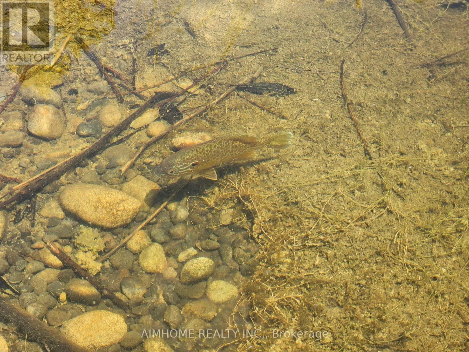 10400 AND 10800 6TH CONCESSION