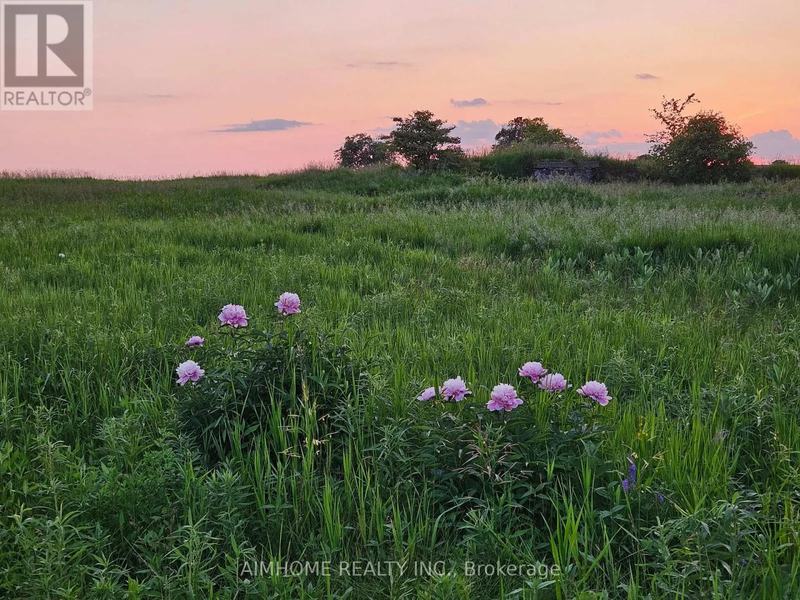 10400 AND 10800 6TH CONCESSION