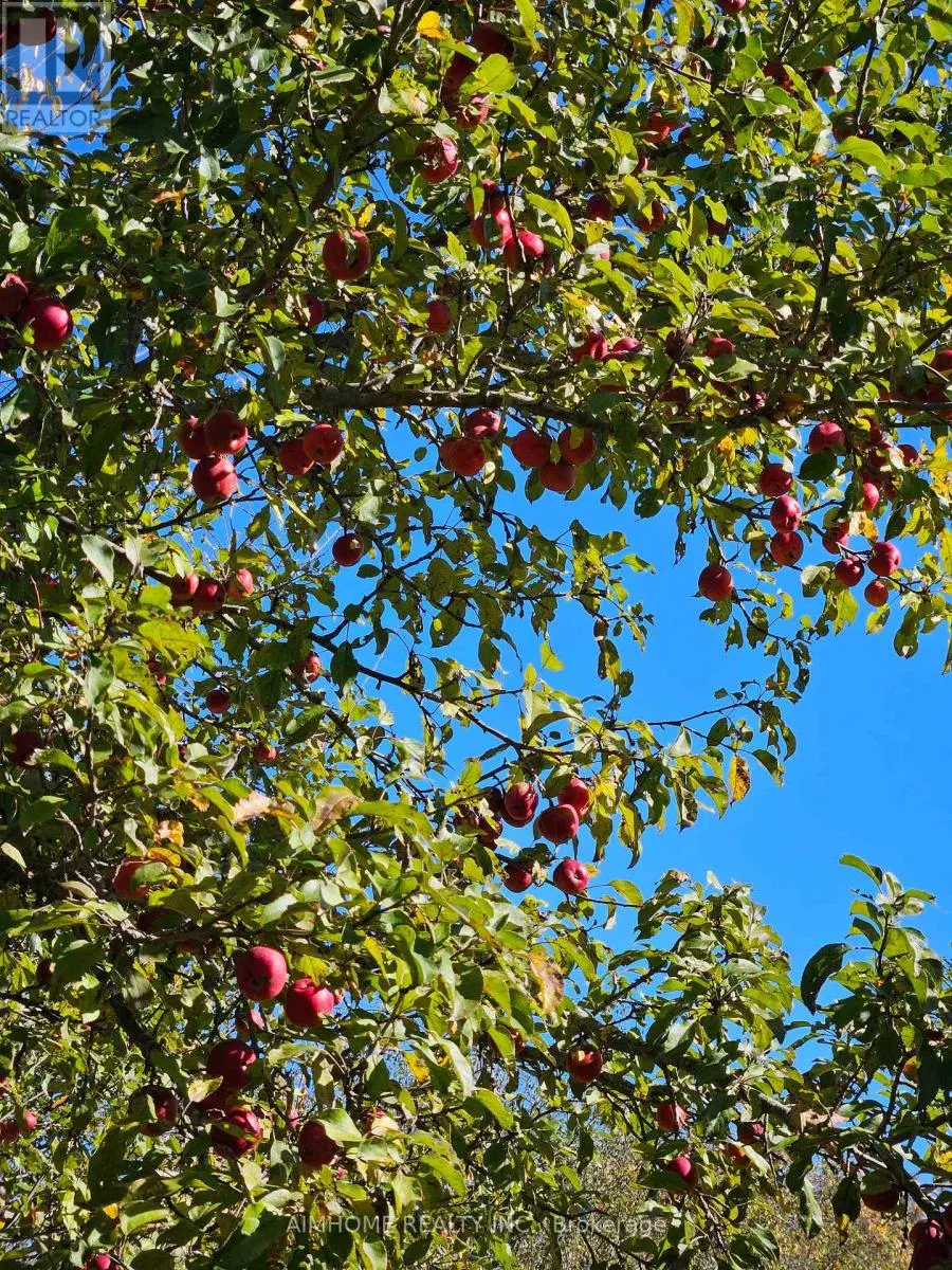 10400 AND 10800 6TH CONCESSION