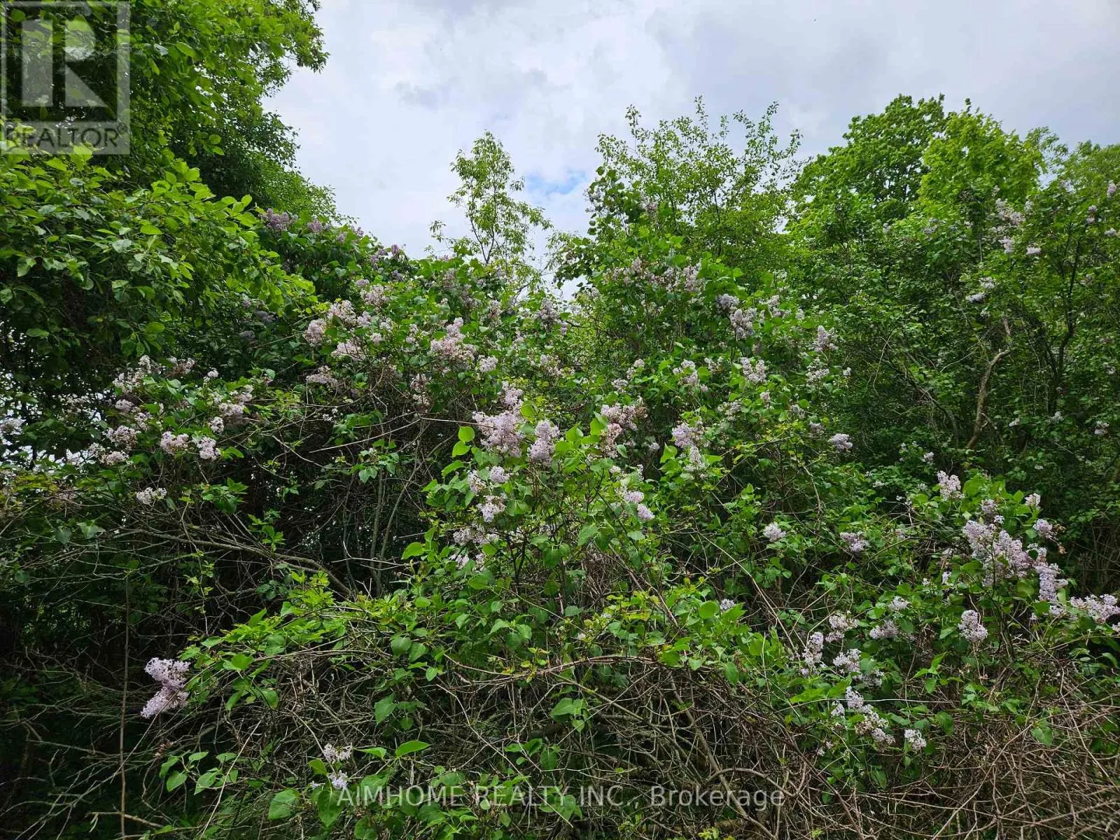 10400 AND 10800 6TH CONCESSION