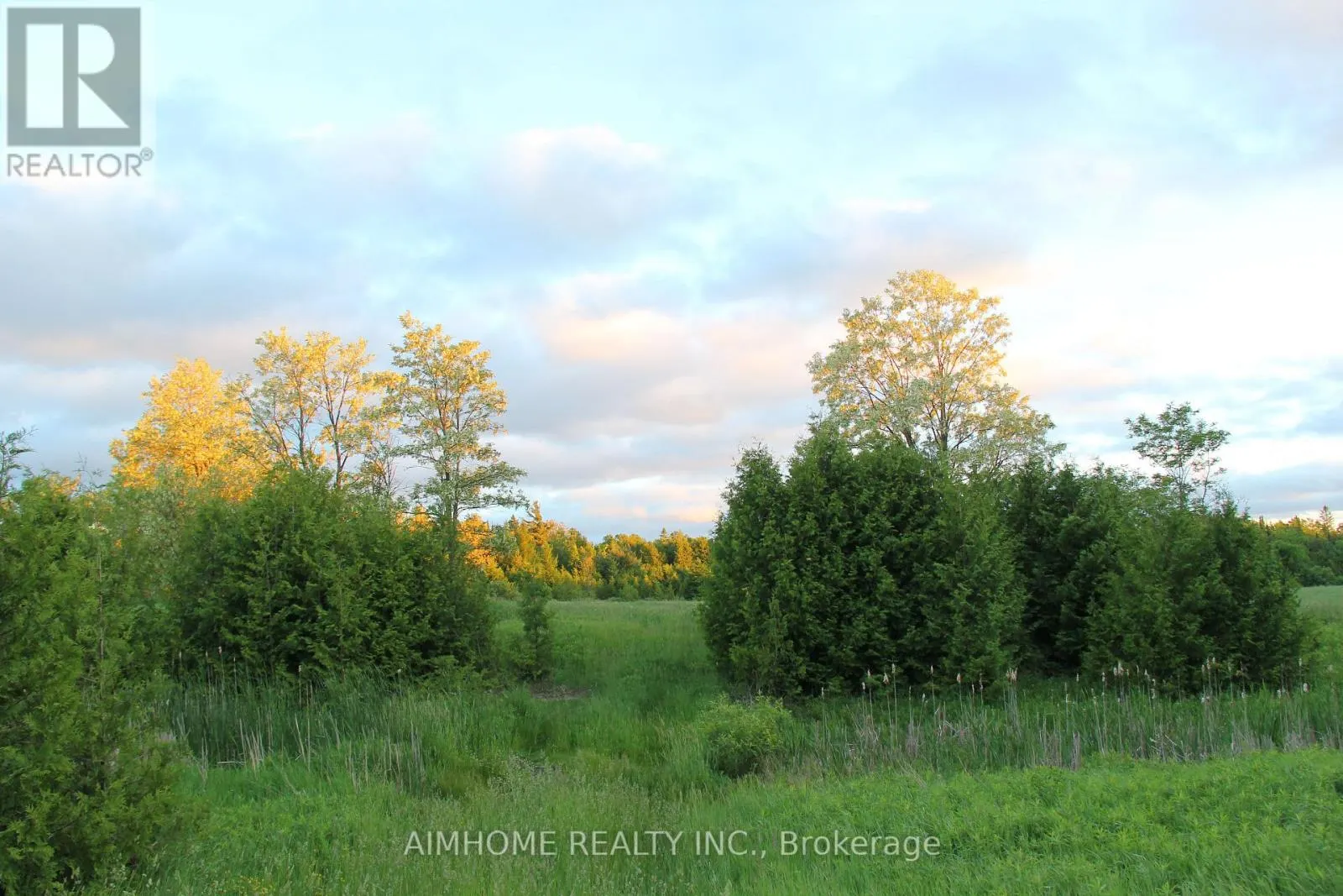 10400 AND 10800 6TH CONCESSION