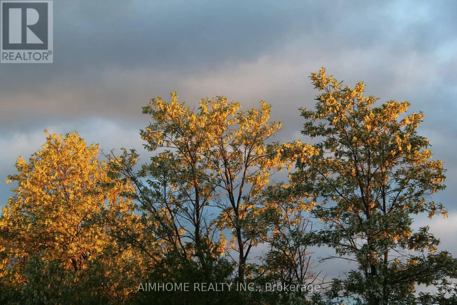 10400 AND 10800 6TH CONCESSION