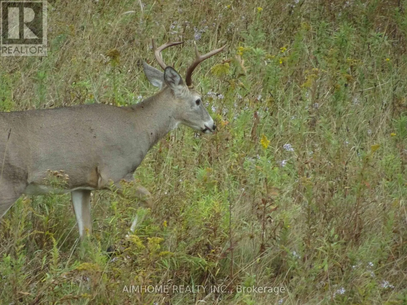 10400 AND 10800 6TH CONCESSION