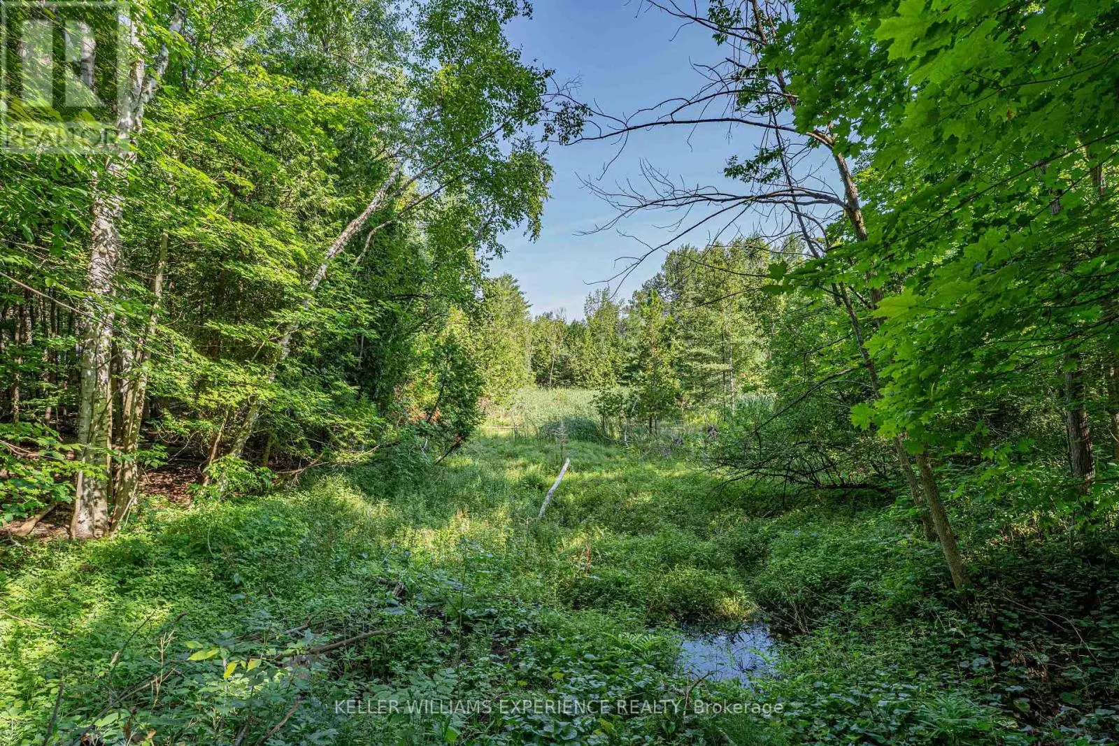 8294 COUNTY 27 ROAD