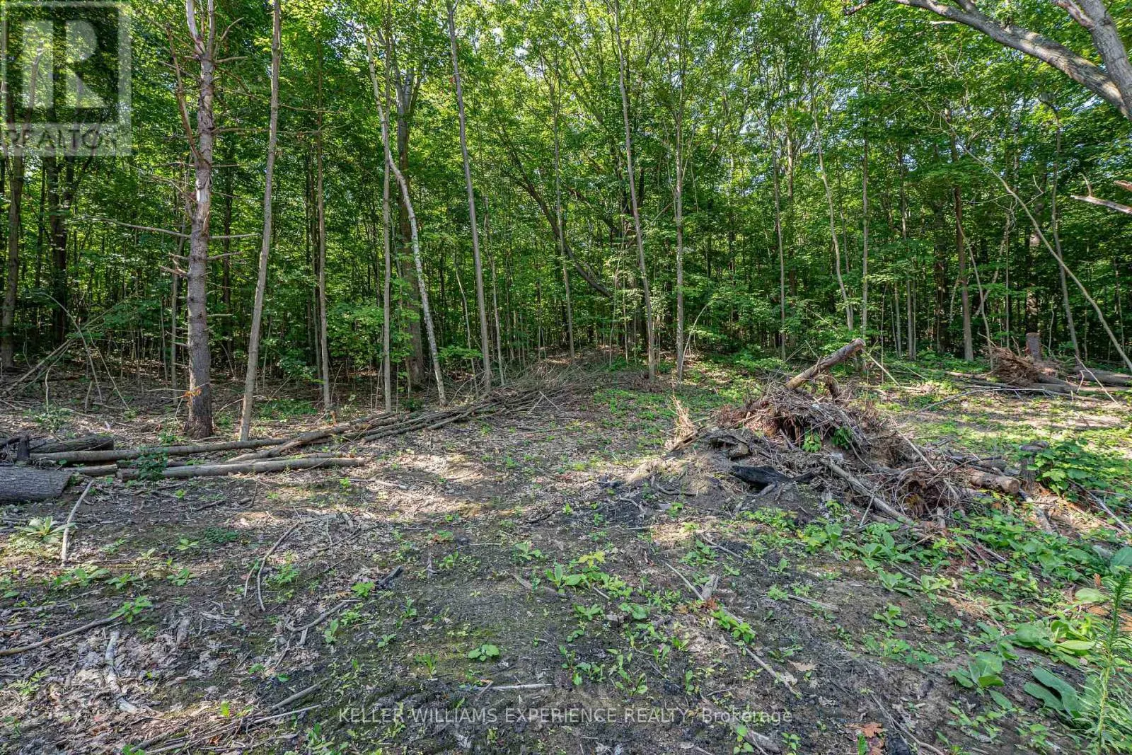 8294 COUNTY 27 ROAD