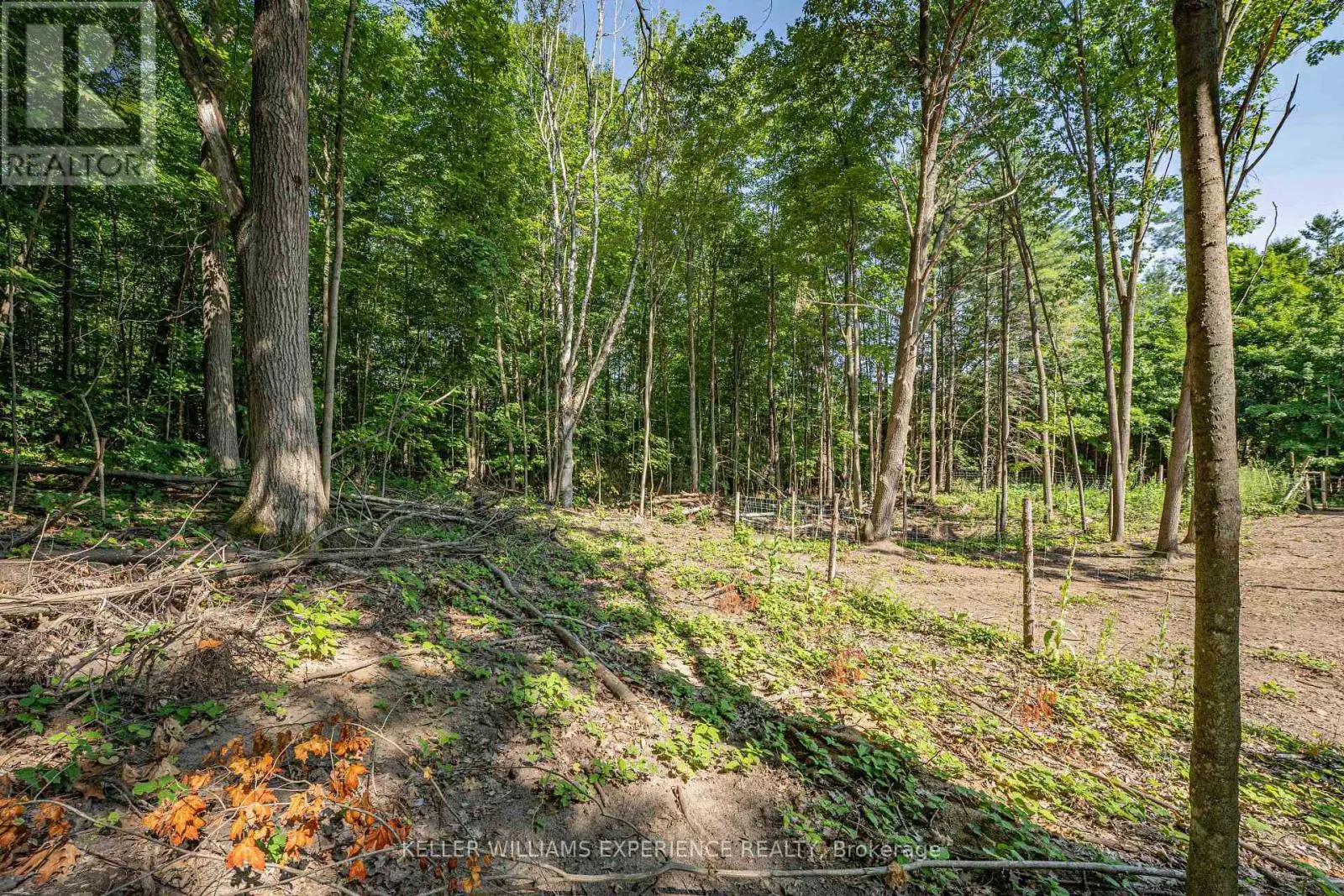 8294 COUNTY 27 ROAD