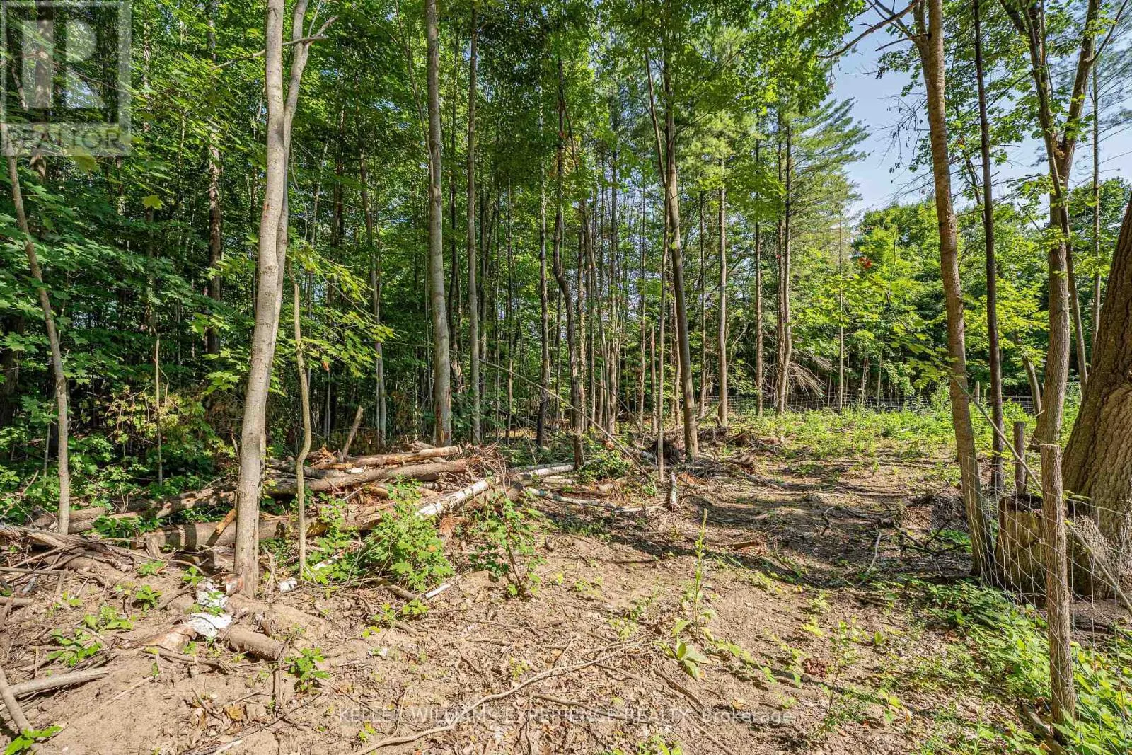 8294 COUNTY 27 ROAD