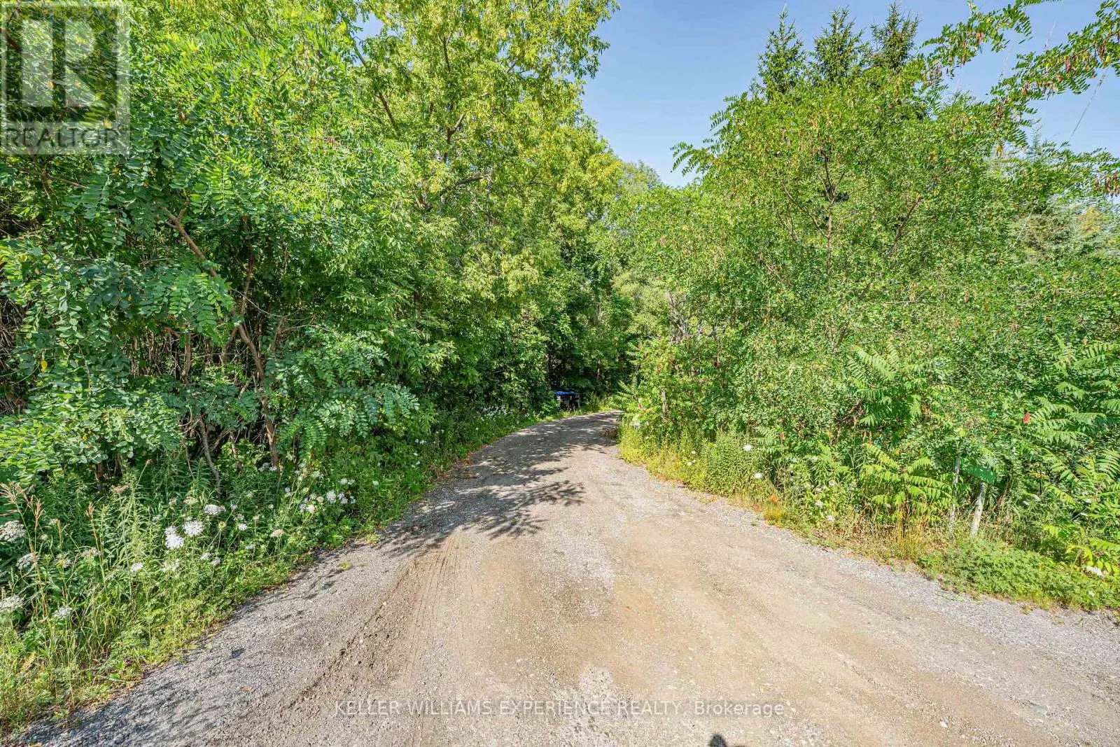 8294 COUNTY 27 ROAD