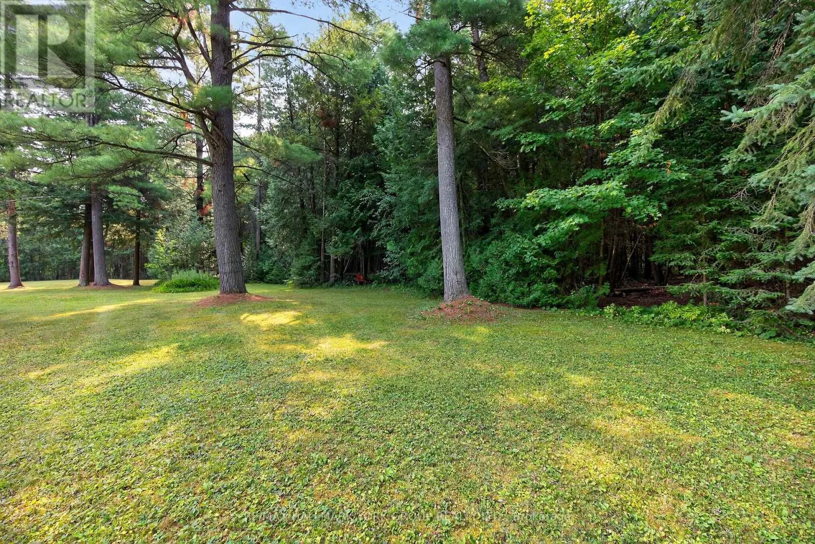 245 DAVIS DRIVE