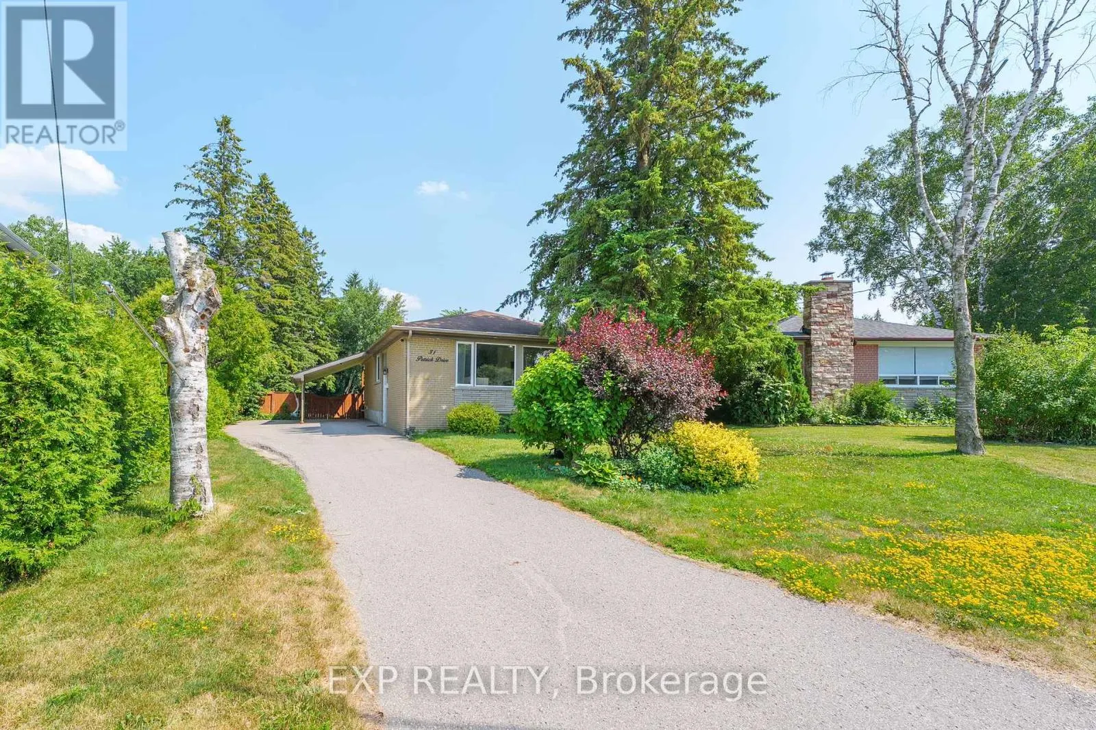 31 PATRICK DRIVE