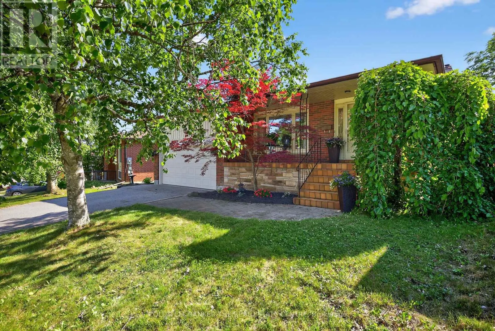204 ALEXANDER ROAD