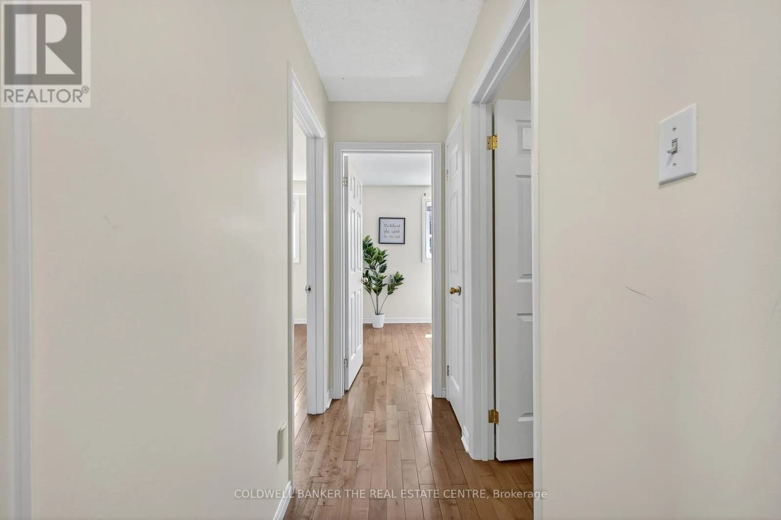 204 ALEXANDER ROAD