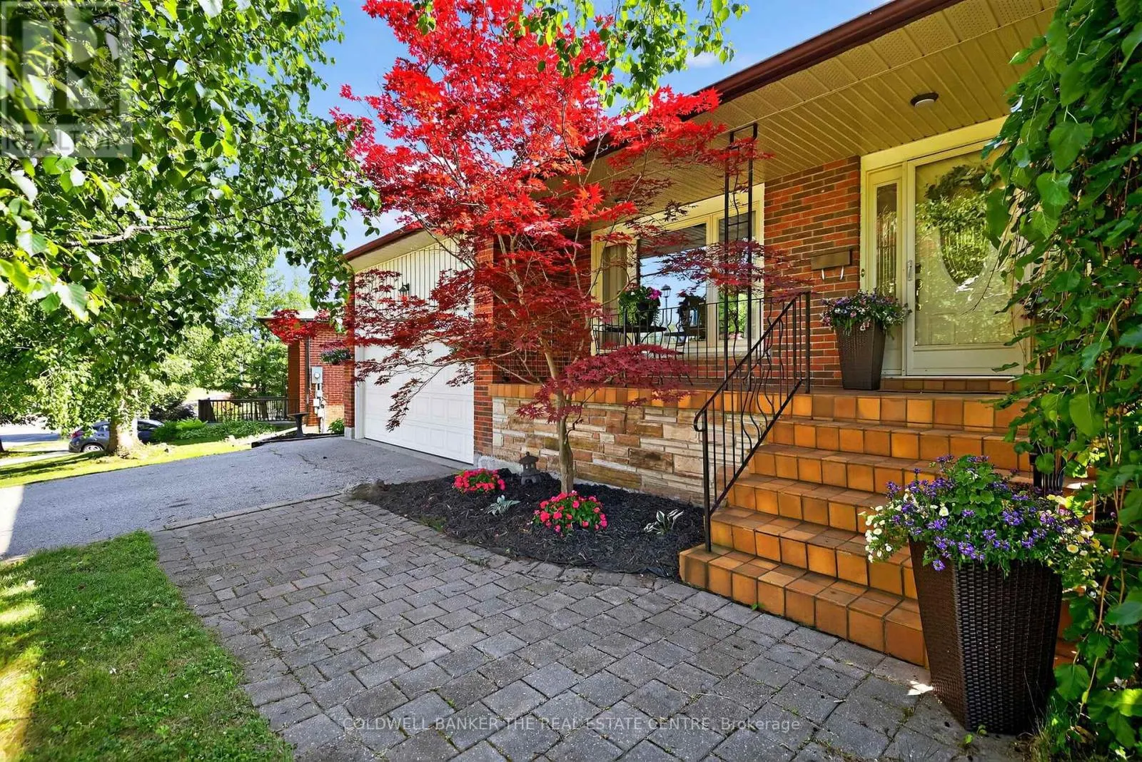 204 ALEXANDER ROAD