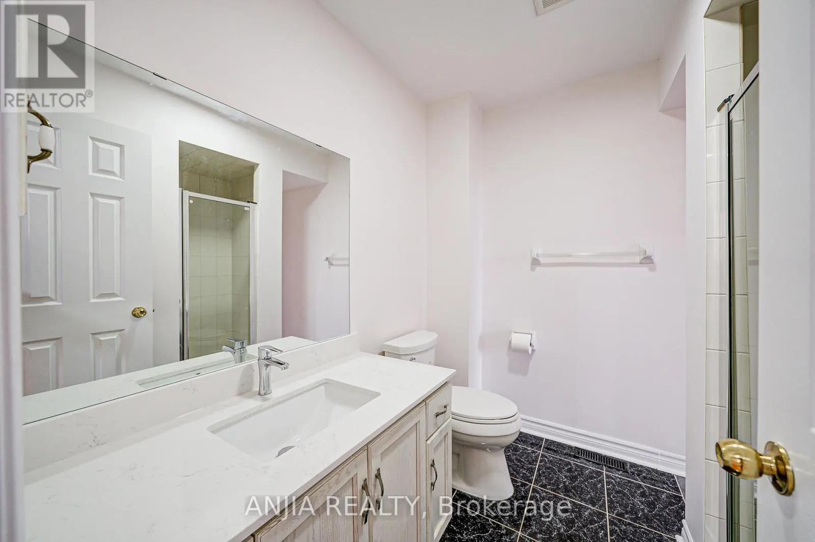 203 MILLIKEN MEADOWS DRIVE