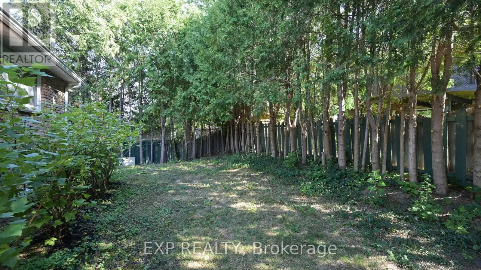65 LOWE BOULEVARD