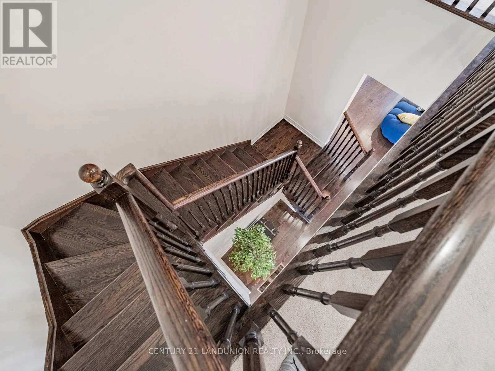 233 BUTTERNUT RIDGE TRAIL