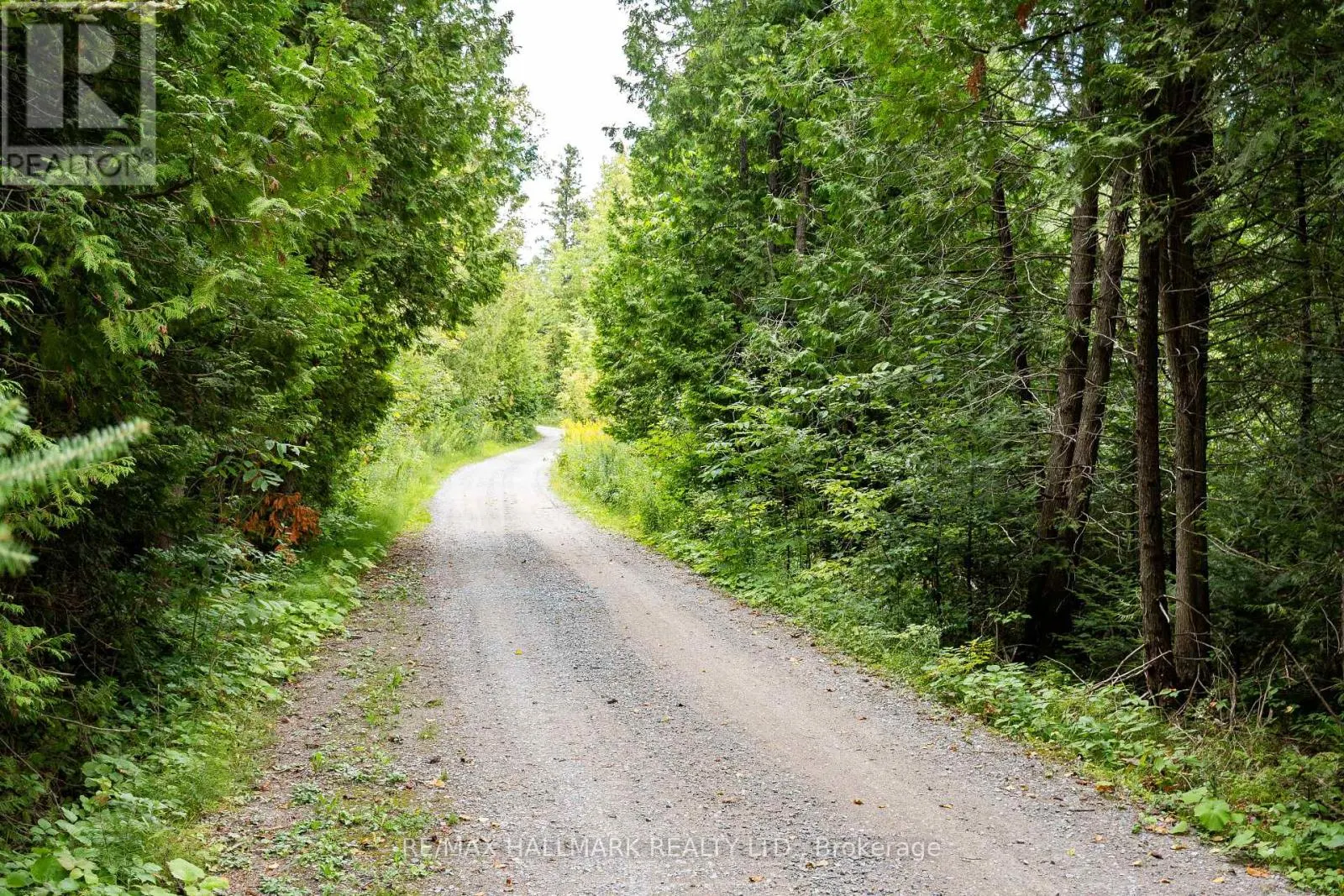 175 CONCESSION 2 ROAD