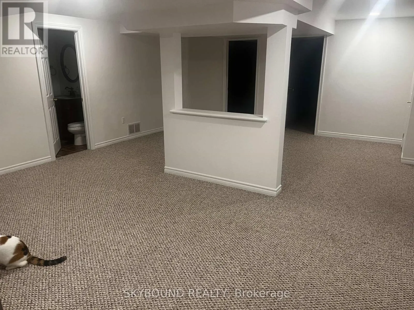 BASEMENT - 290 PAXTON CRESCENT