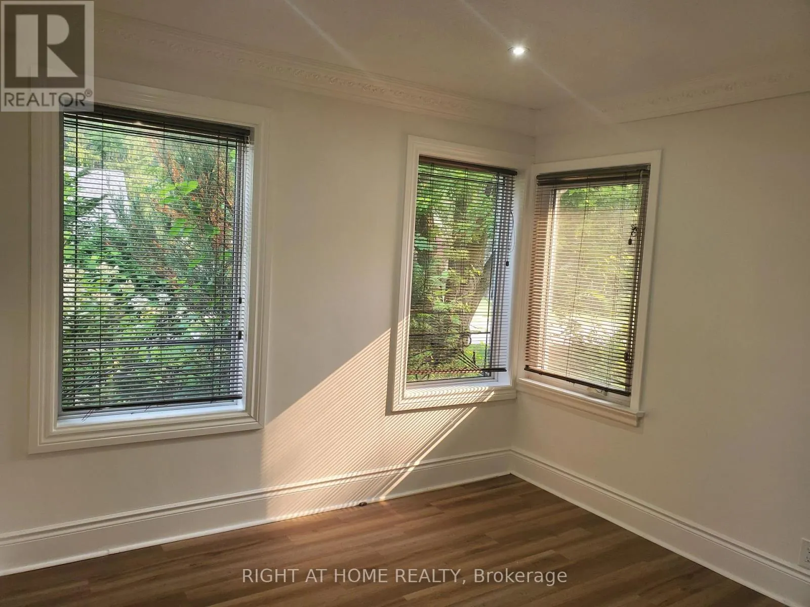 56 DON MOR DRIVE