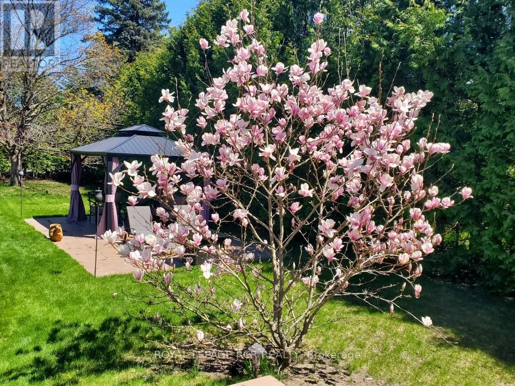20 JASMINE CRESCENT